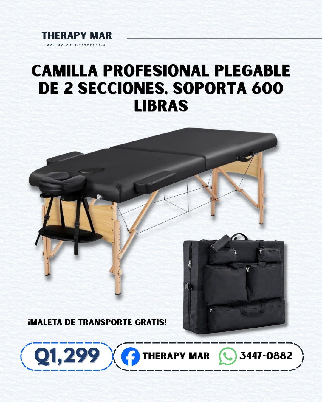 Camilla profesional, plegable de 2 secciones